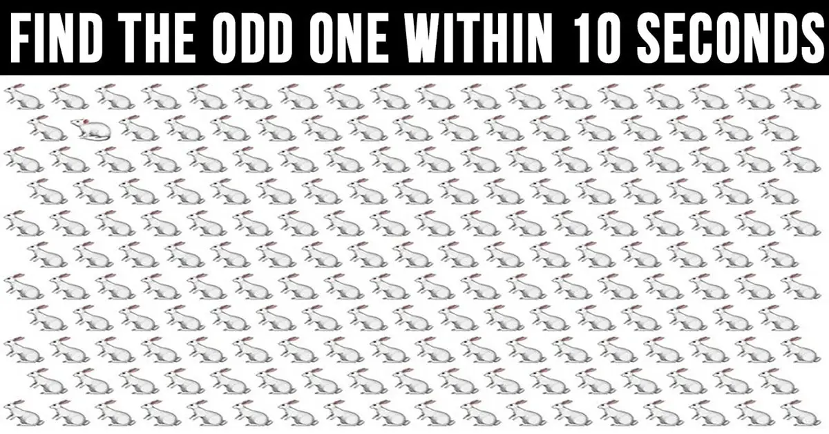 how-fast-can-you-spot-the-odd-one-these-tests-are-tricky