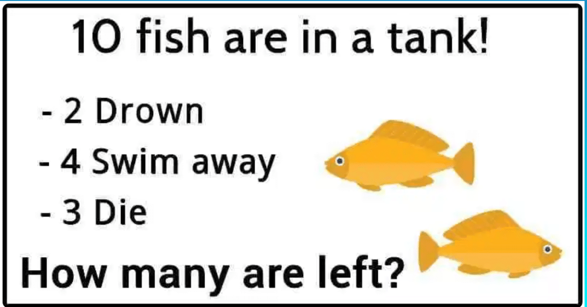 This fish has. Funny Riddles in English. Math Riddles уровни. Math Riddles ответы с решением. Math Riddles ответы 40.