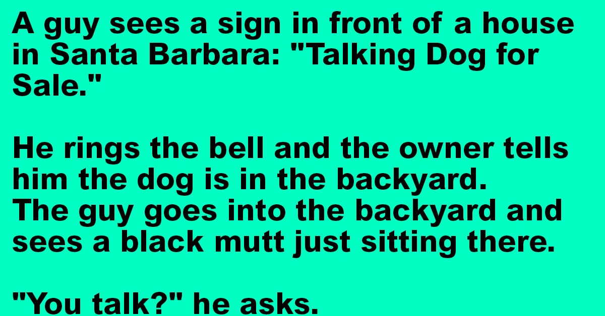 A Talking Dog For Sale