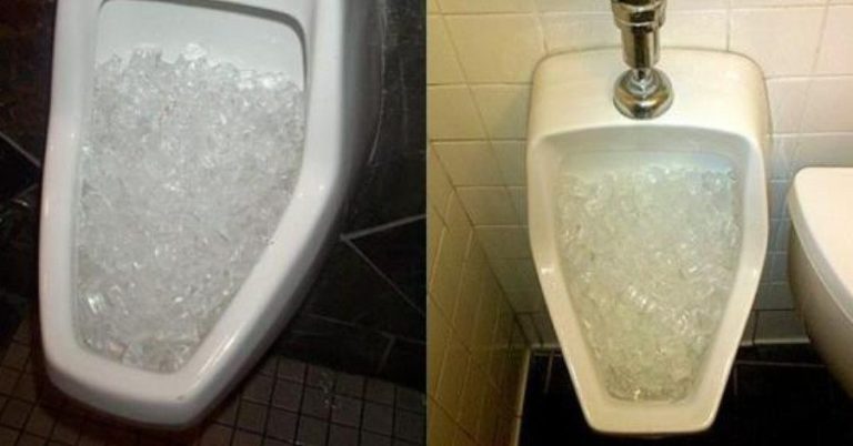 Why do restaurants and hotels often put ice in their toilets? - Wake Up ...