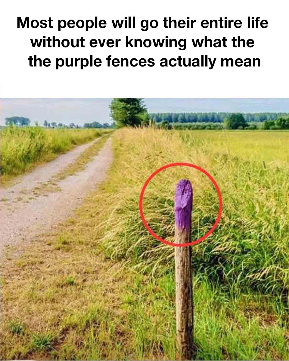 Most People Have No Clue Wake Up Your Mind