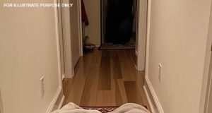vid