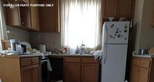 vid