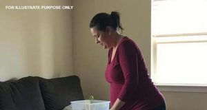 vid