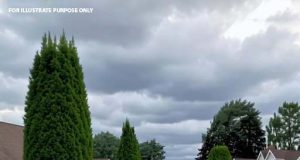 vid