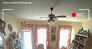 vid