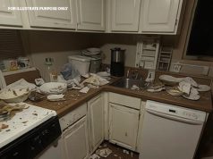 vid