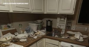 vid