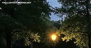vid
