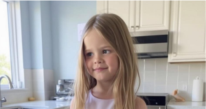 Vid