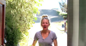 Vid