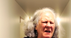 vid