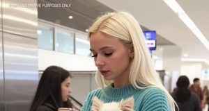 Vid
