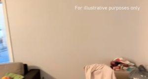 vid