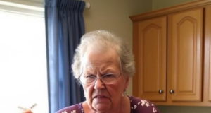 vid