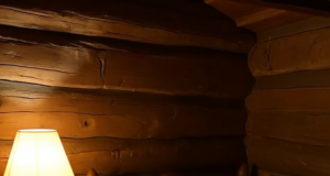 vid