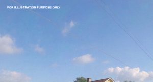 vid