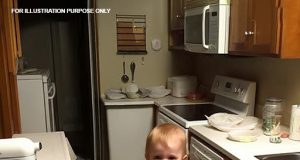 vid