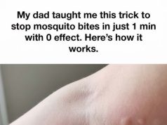 Can’t wait to try this next time! vid