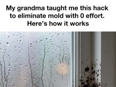 vid