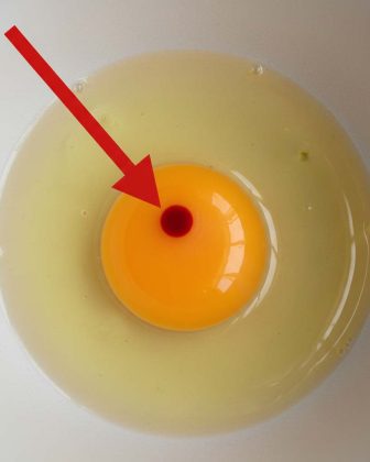I Found Red Spots in My Eggs — Are They Safe to Eat or Should I Throw