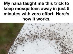 Did not know about this