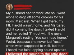 I Visited My In-Laws and Discovered My MIL Locked in the Attic — The Reason Left Me Shaken