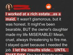 My Boss’s Guests Treated Me Like Dirt Because I Was the Maid Until I Showed Them My Ring