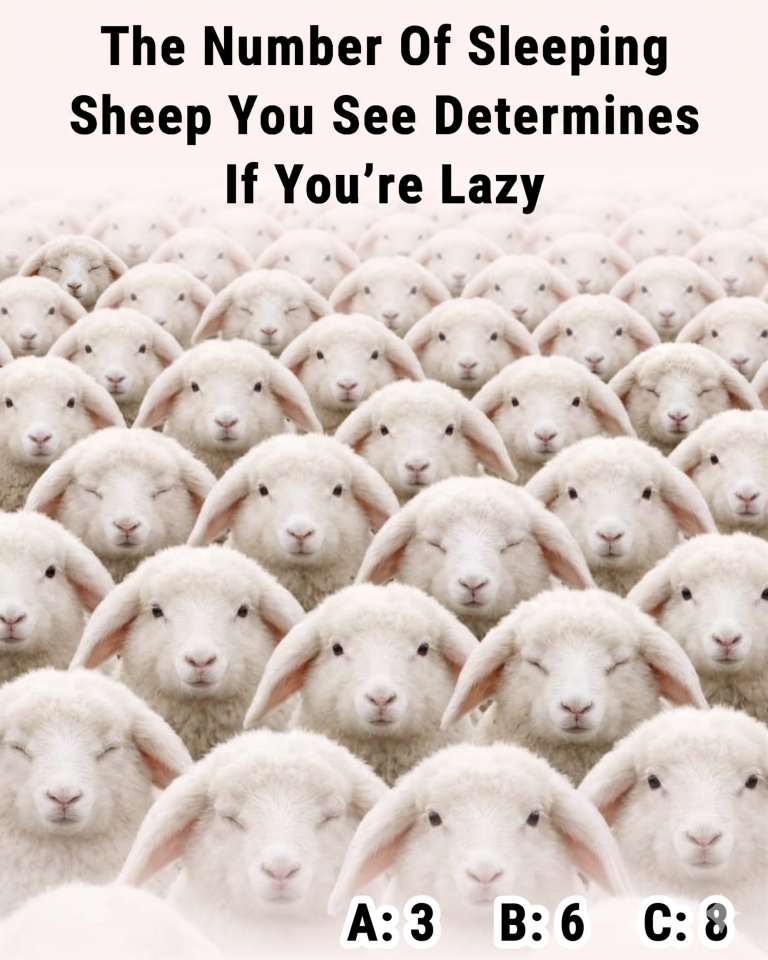 The Number Of Sleeping Bunnies You See Determines If You’re Lazy - Wake ...