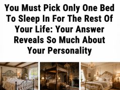 You Must Pick Only One Bed to Sleep In for the Rest of Your Life — Your Choice Reveals More Than You Think.