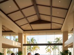 I paid $5,000 toward our family trip to Hawaii.
