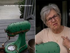 My Neighbor Kept Borrowing My Appliances—When She Returned My Mixer Dirty and Broken, I Finally Taught Her a Lesson She Wouldn’t Forget