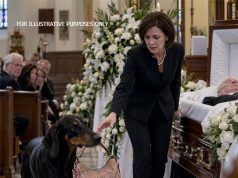 My Sister Banned Dad’s Doberman from His Funeral—Then, Halfway Through the Service, He Walked In Carrying Her Old Pink Purse, and What We Found Inside Stunned Everyone.